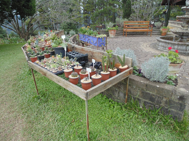 Roupas na mala: Visitando o Parque de Lavanda em Gramado, Serra Gaúcha