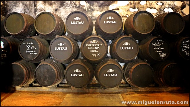 Bodegas-Lustao-Jerez_8