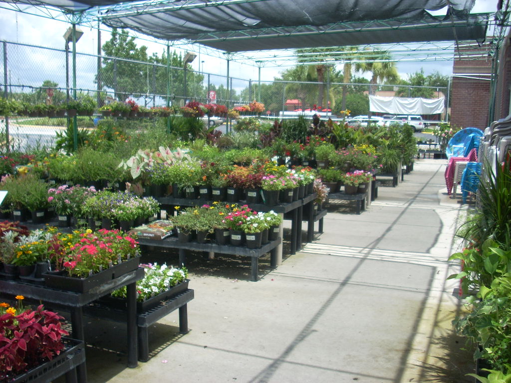 Super Kmart Blog! Winter Springs Big Kmart