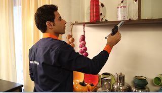 Hicare -This Festive Season, make your house Cockroach free! Hicare -This Festive Season, make your house Cockroach free!