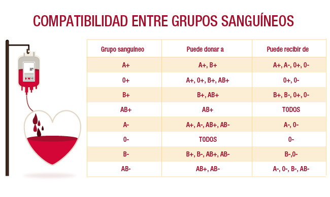 Bajar el programa 25 cuadro del adelgazamiento