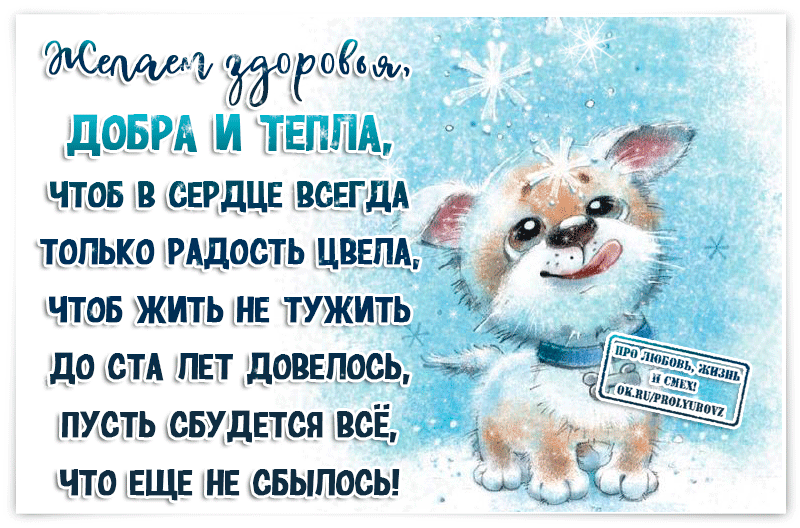 я не хочу жить без тебя. и жили сто лет. здоровая старость. долголетие. желаю жить до 100.