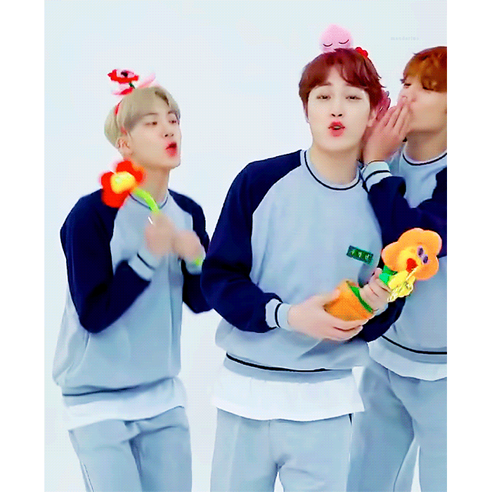 어제자 청량 컨셉에서 온도차 보여준 더보이즈 | 인스티즈