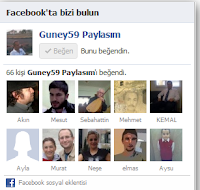 Facebook hayran kutusu