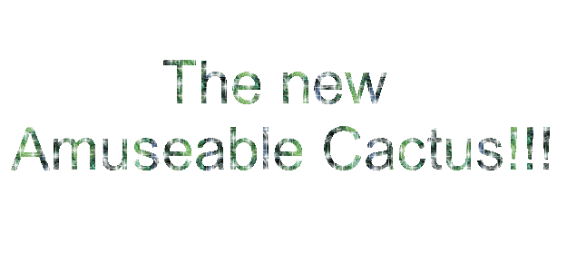amuseable cactus