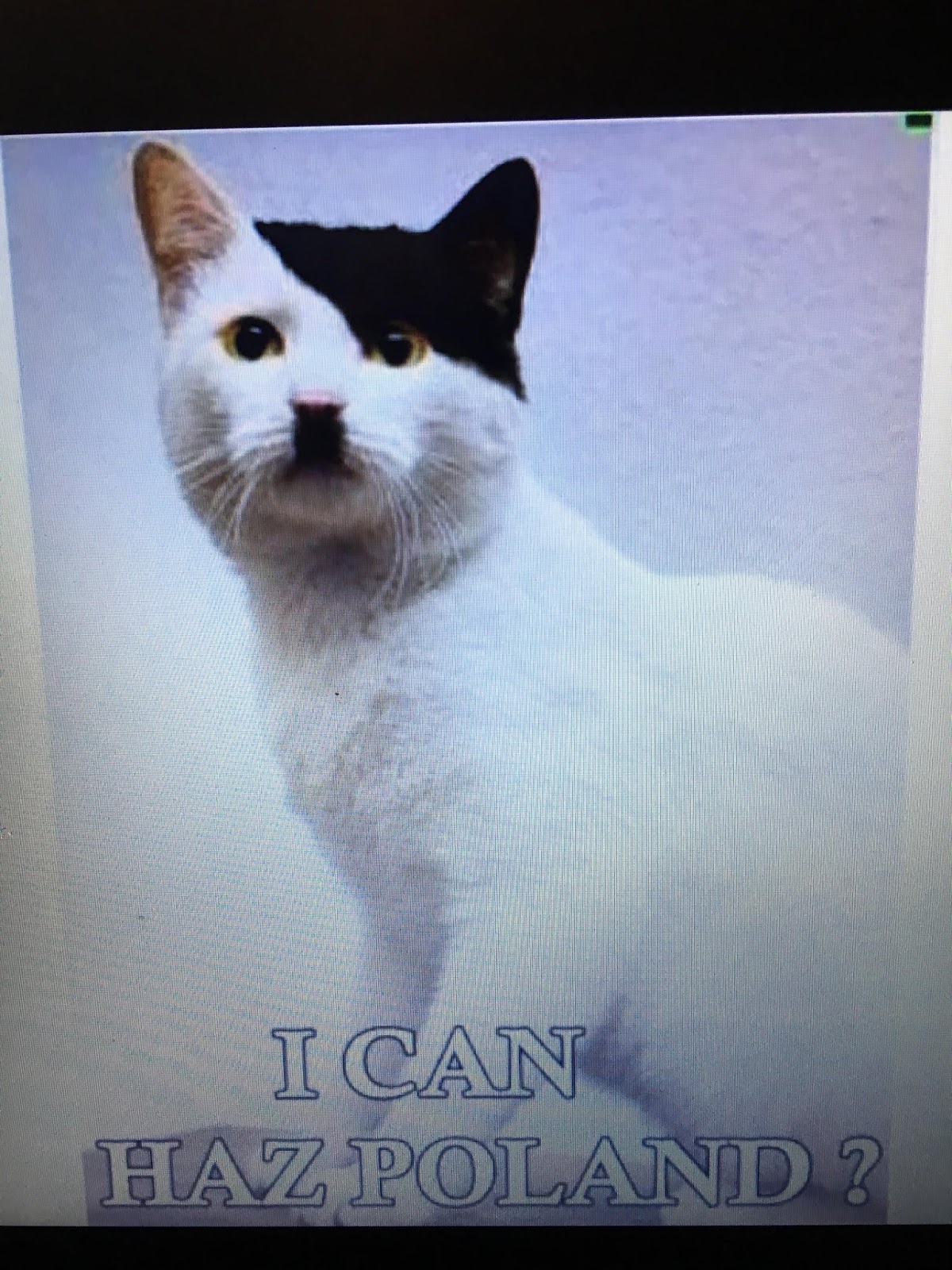 Hitleriffic - More fun than a barrel full of Nazis™: Catler