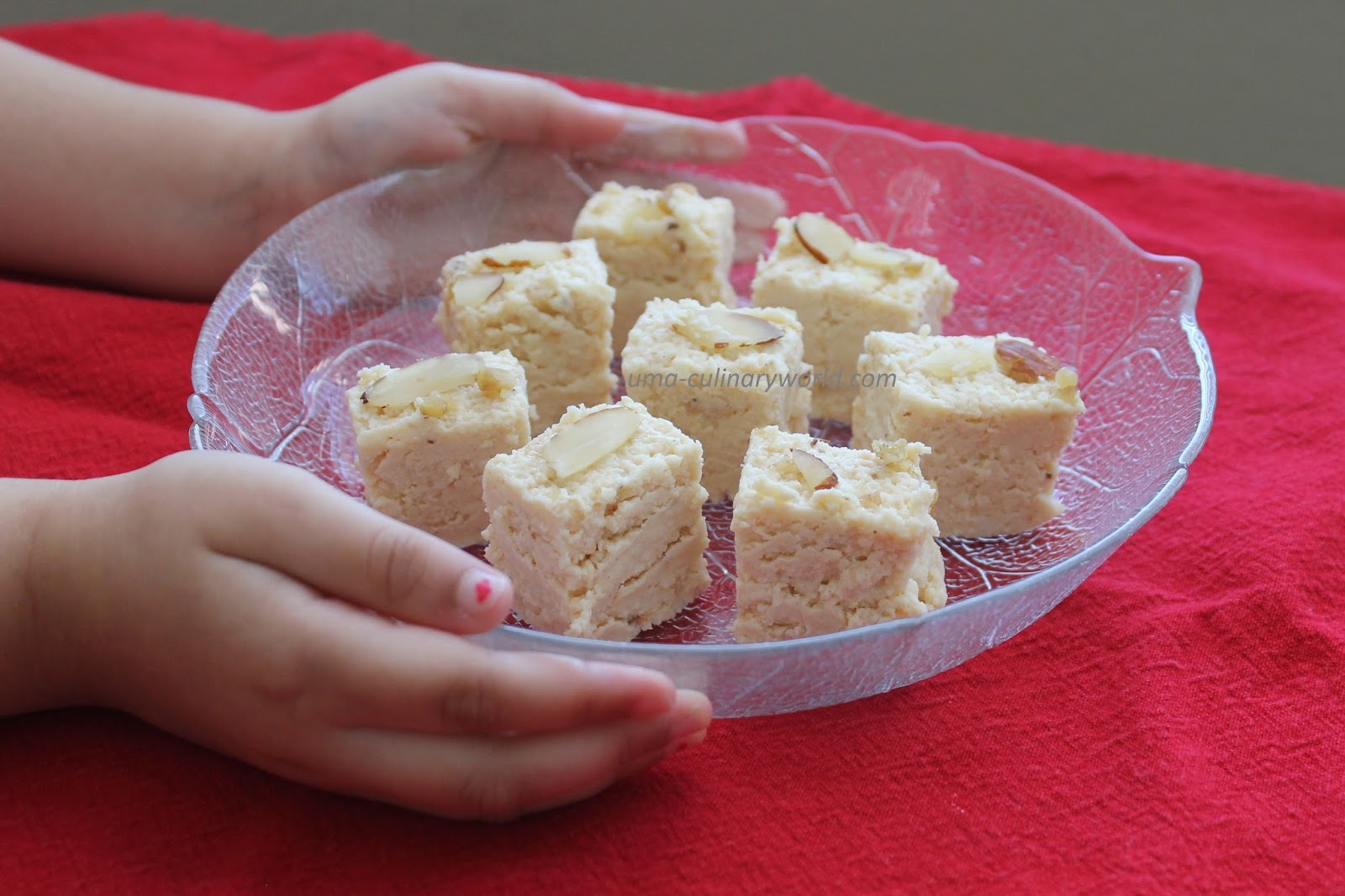 Oven Baked Ricotta Cheese Kalakand / Milk Cake
