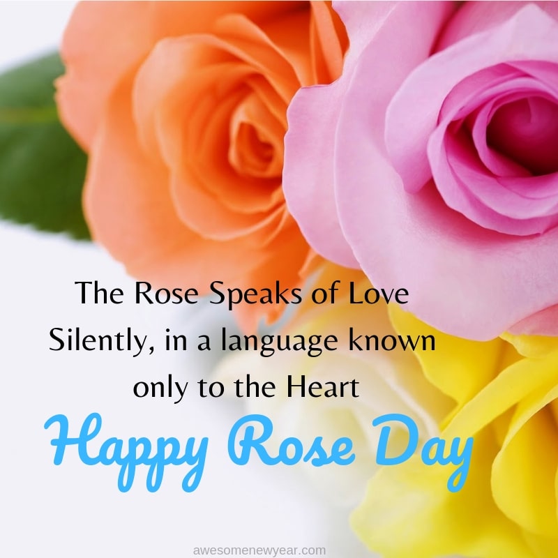 Beautiful Rose Day Quotes to share with your Love on Valentines Day