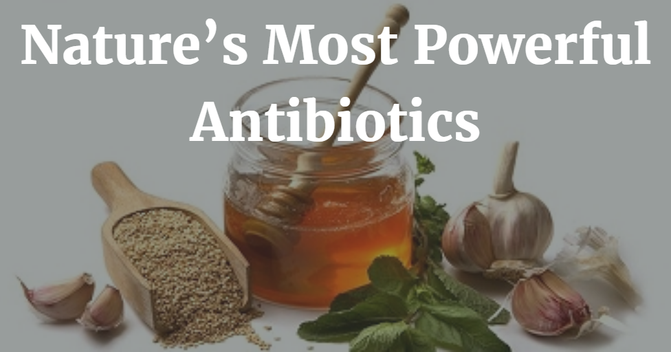 You Should Try This! Homemade ANTIBIOTICS For You Health Nourishment