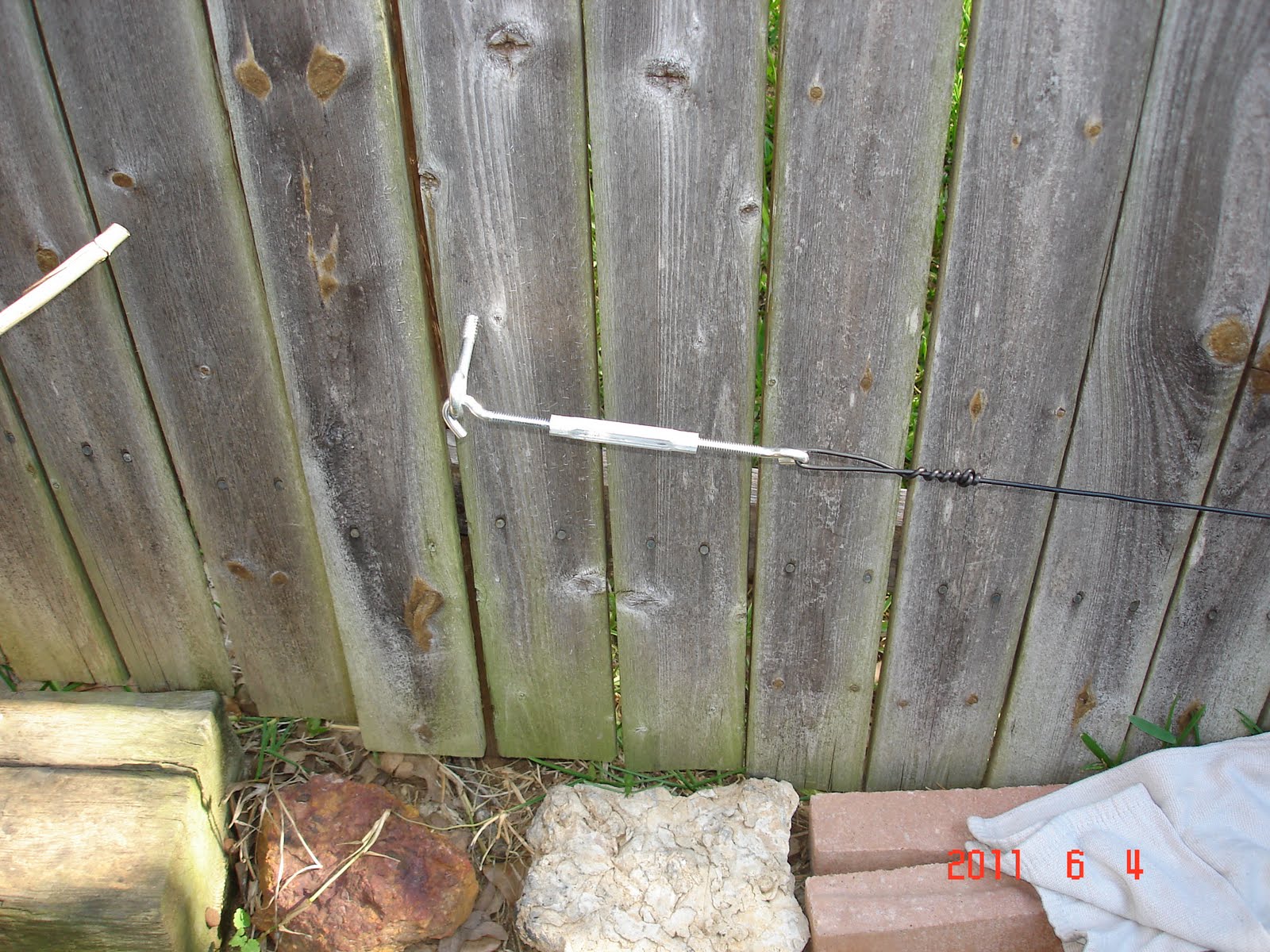 Living Small Pear Espalier