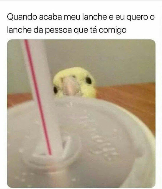 Memes engraçados Memes engraçados