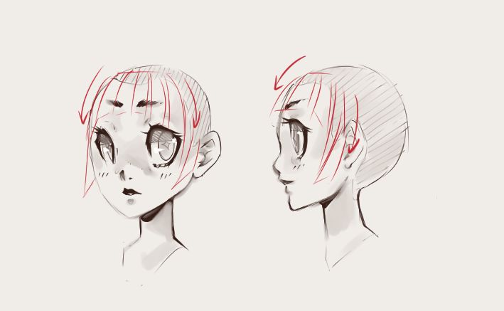 How To Draw Hair Trichology For Illustrators Draw Central