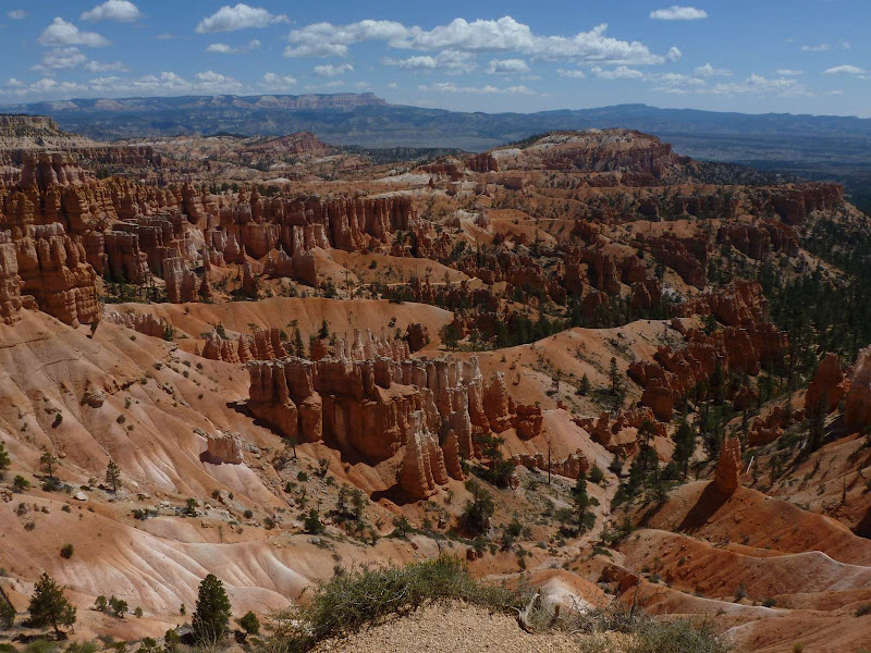 13: Bryce Canyon - Driving me ... USA (11)