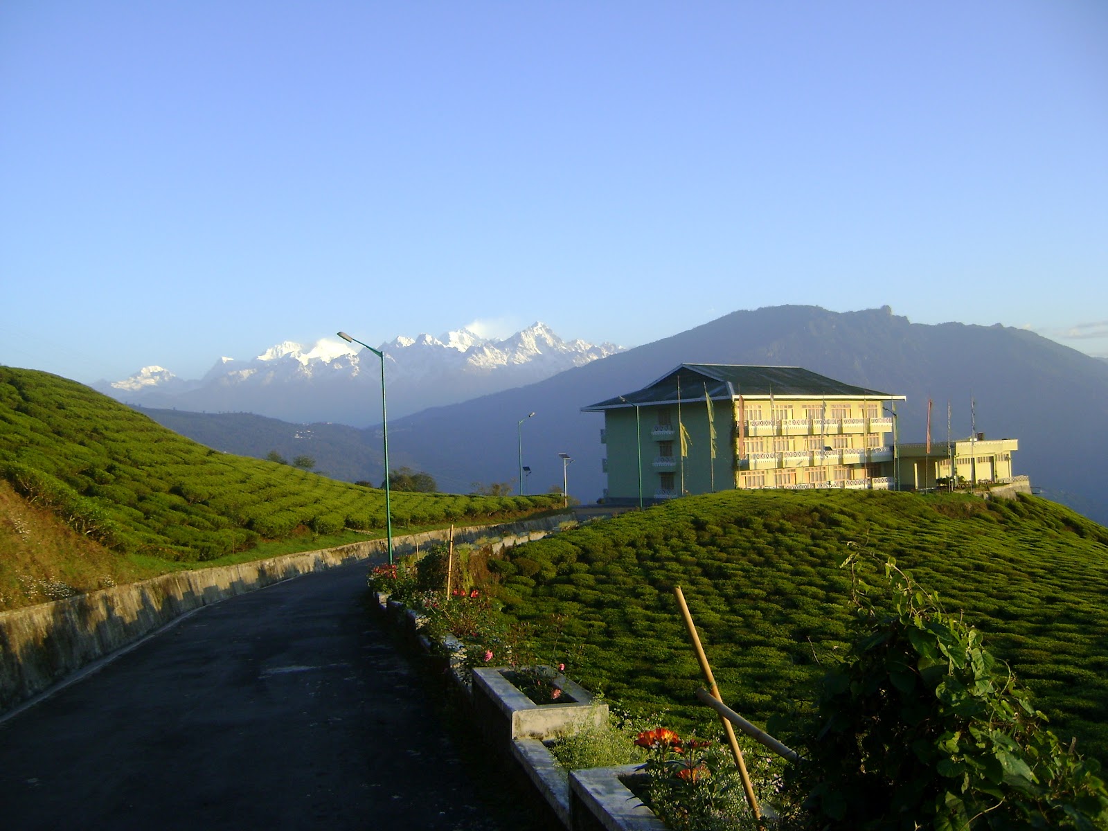 Splendid Vacation in Temi Tea Garden [Cherry Resort]