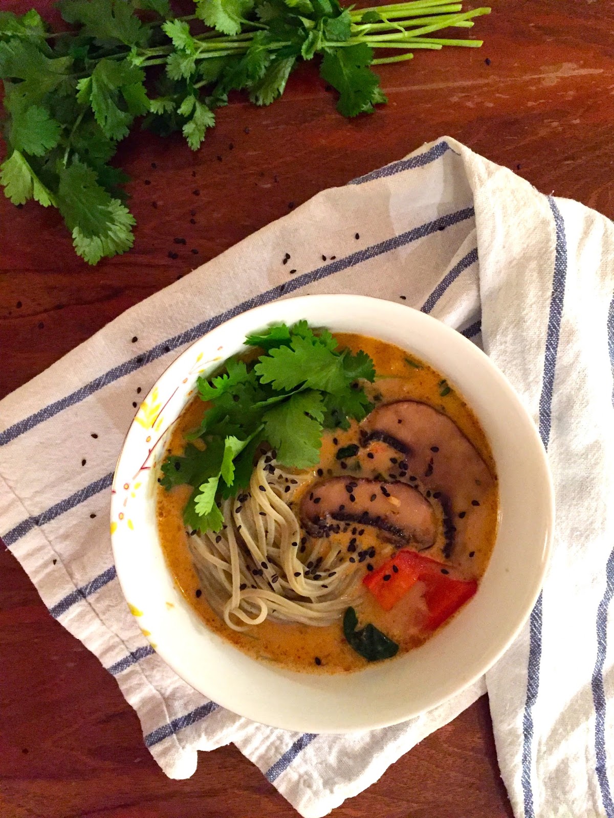 INA KORNELIAS MAT SPICY THAI SUPPE MED NUDLER
