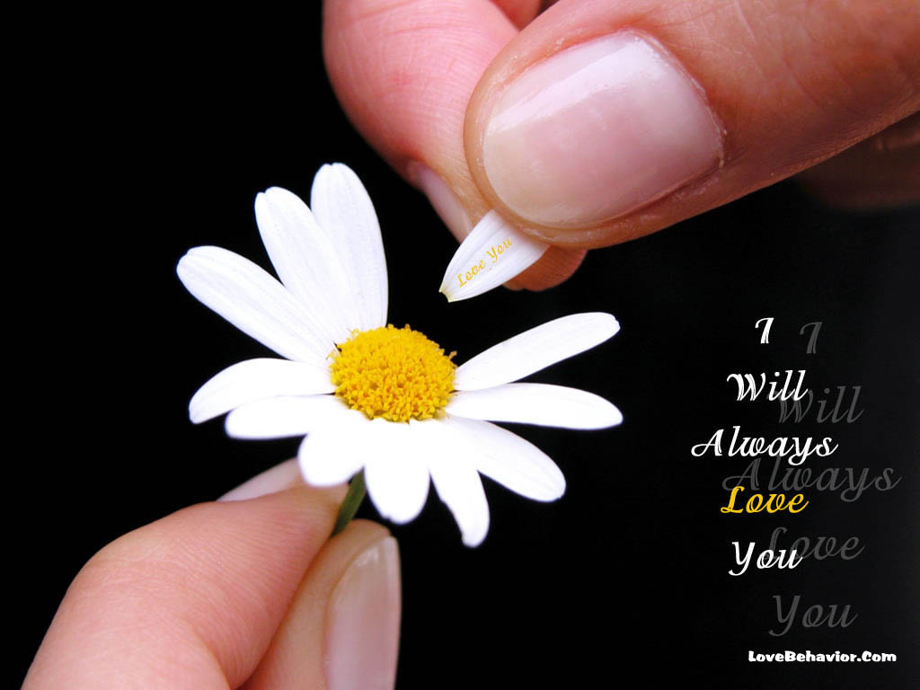 Love Wallpapers, Cute Lovely desktop backgrounds, Lovely Heart