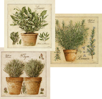 Erbe e piante officinali nella storia