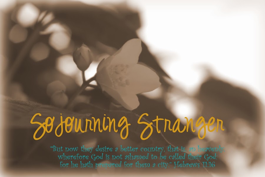 Sojourning Stranger