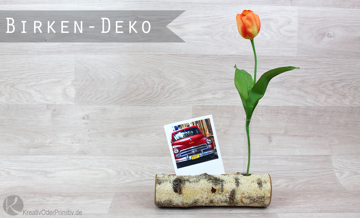 Exclusivholz Birkenstamm