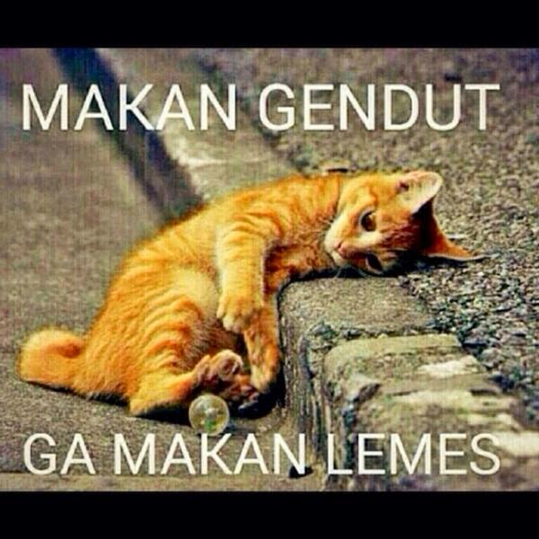 Gambar Foto DP BBM Gokil Unik Aneh Kocak Gambar Foto DP BBM Gokil Unik Aneh Kocak