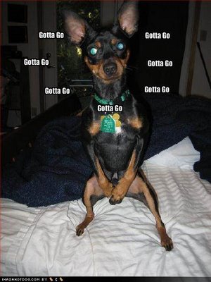 Cute Dog Pet Quotes Cute Dog Pet Quotes