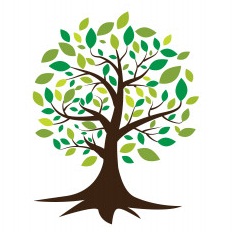 7 Contoh Pohon  Geulis Gerakan Literasi  Sekolah GURU MUDA