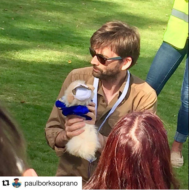 Chiswick House Dog Show Facebook Chiswick House Dog Show Facebook