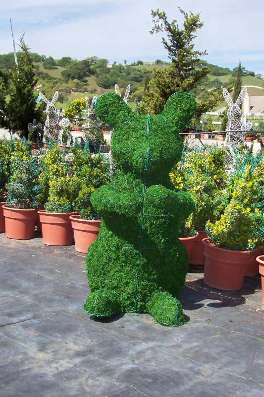 Beautiful animal topiary