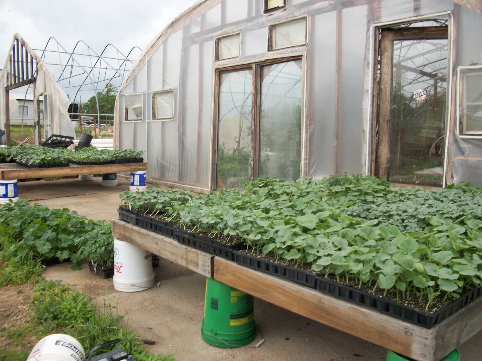 Woodridge Farm WOOD RIDGE GREENHOUSES