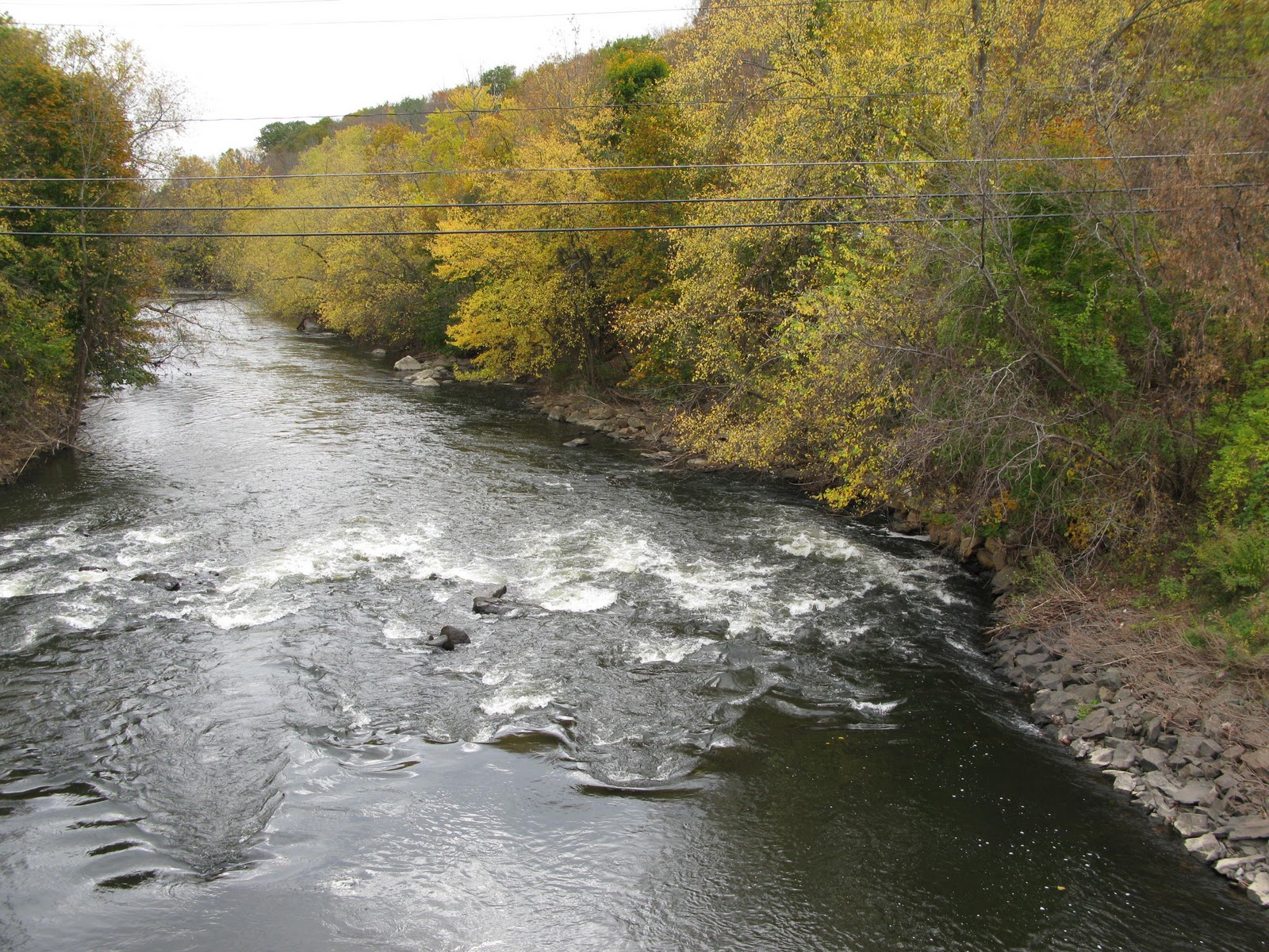 Cépage et Cuisine Autumn in the Berkshires October 23, 2011