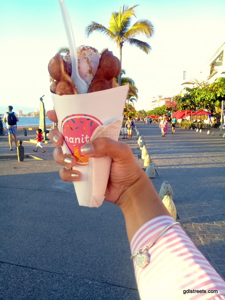 Nanitos the Sugarfree Ice Cream in Puerto Vallarta