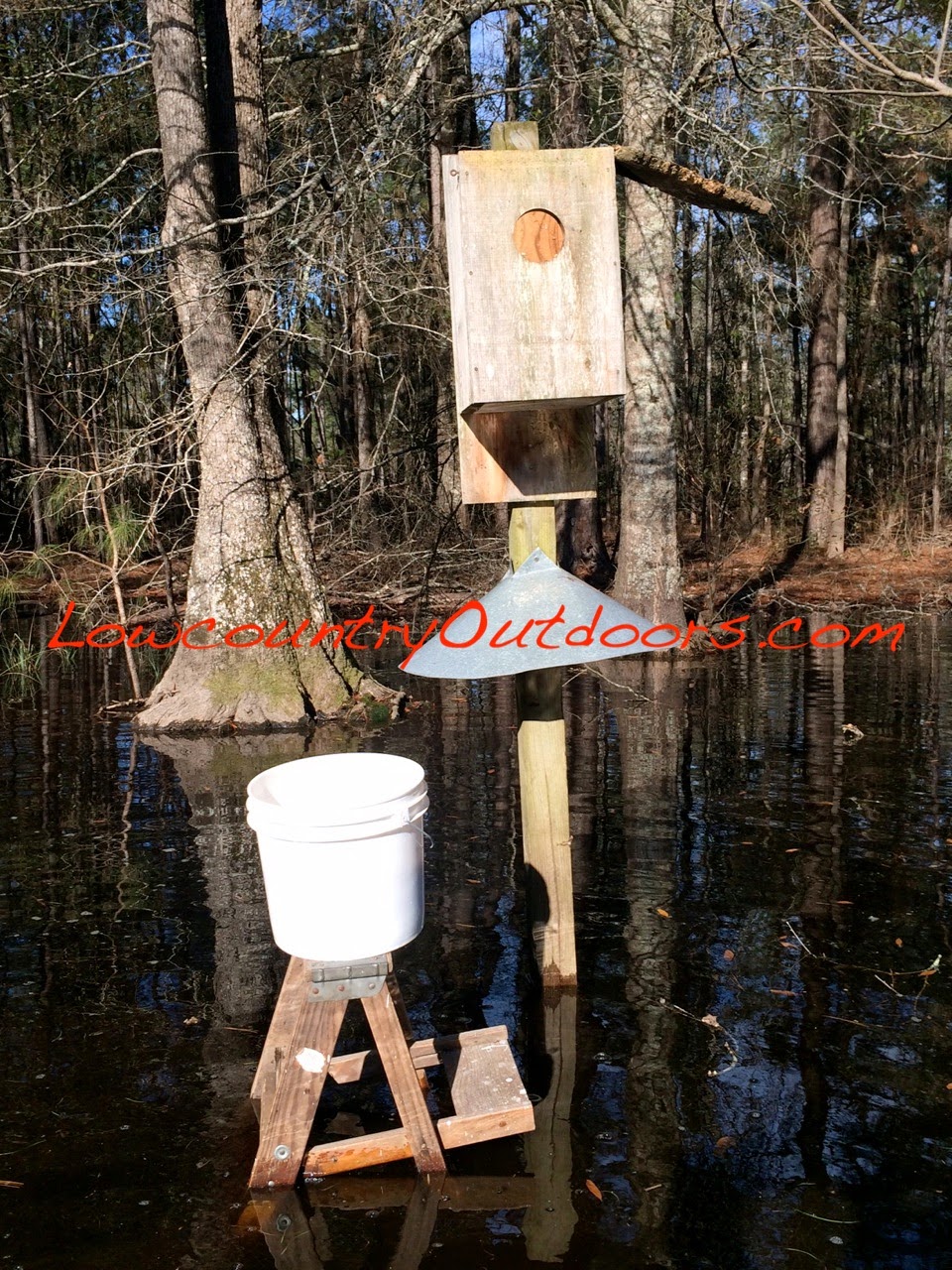 Lowcountry outdoors Wood Duck Box Spring Maintenance