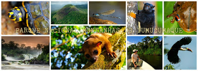 Parque Nacional Montanhas do Tumucumaque