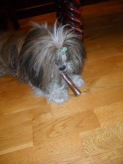 xi-wang-petsecret-trastada-cumpleaños