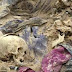 العثور على مقبرة جماعية في العراق تضم أكثر من 400 جثة