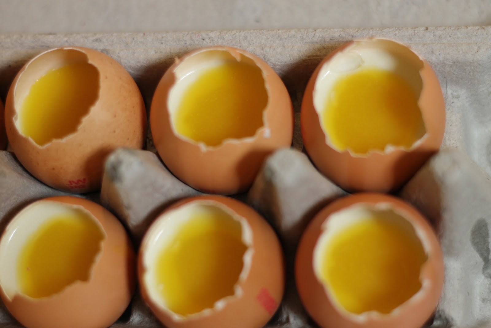 Simple Delights Coconut Panna Cotta Mango & Orange Egg
