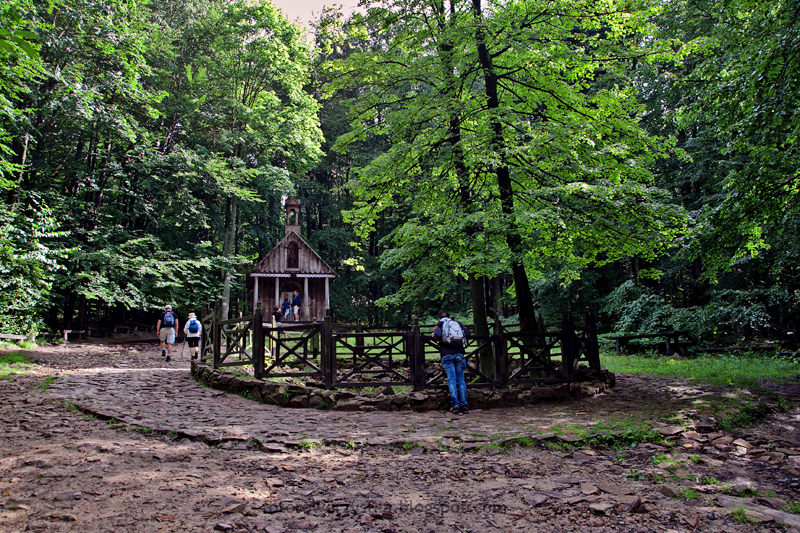 Święta Katarzyna, Łysica, kapliczka św. Franciszka, żródełko, świętokrzyskie, Świętokrzyski Park Narodowy