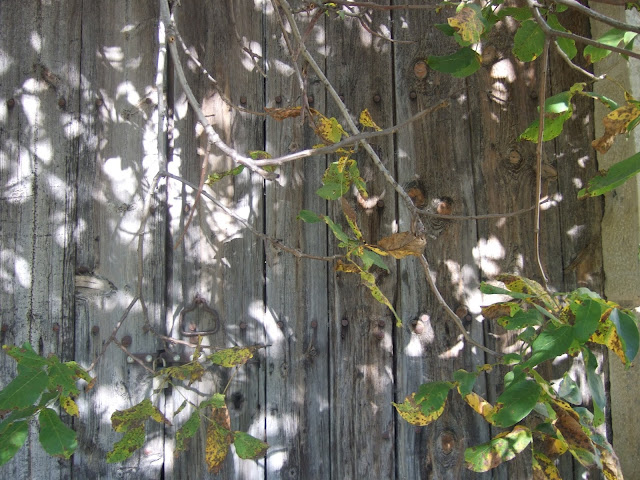 “MOMENTOS”: Sesión de fotos, otoño