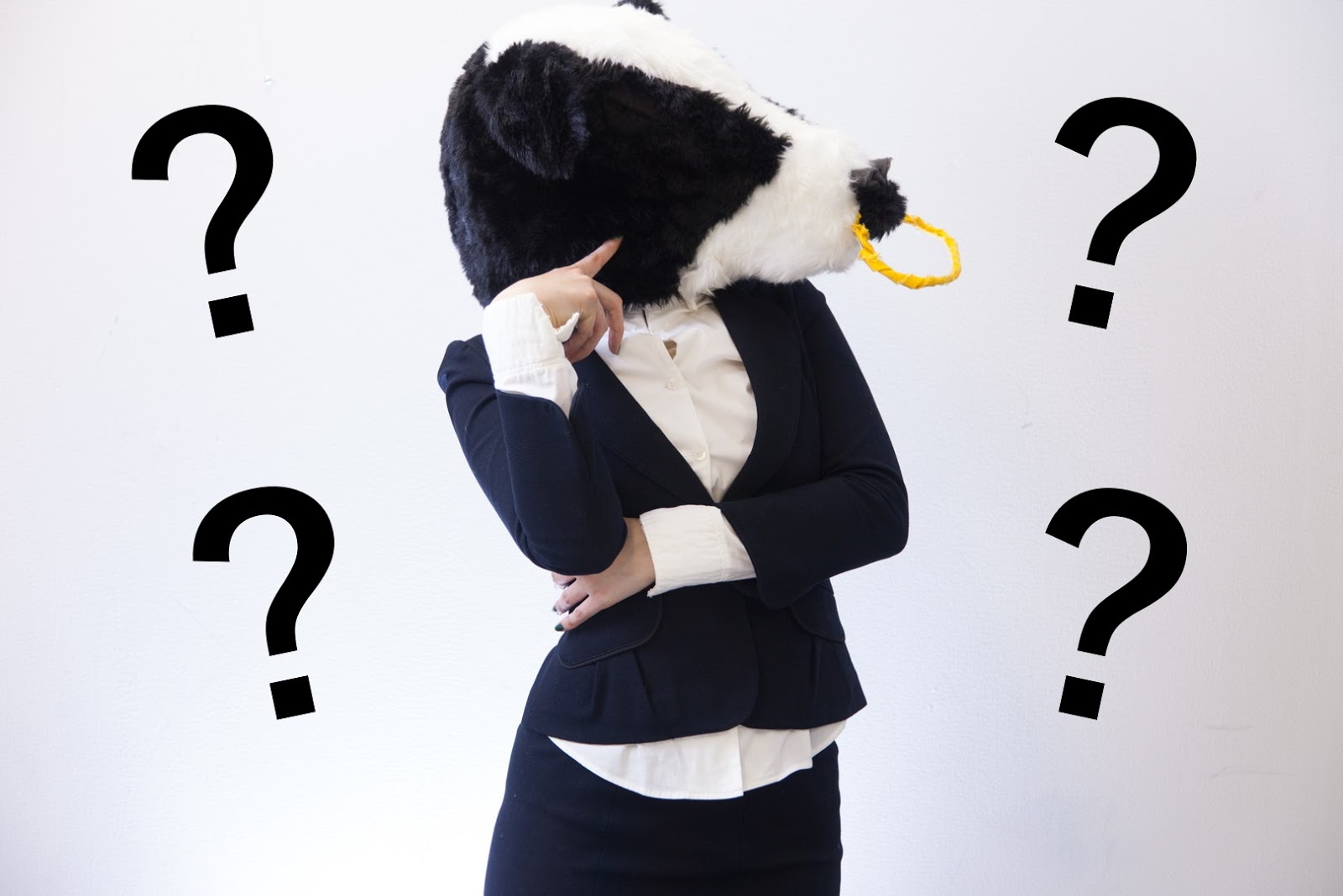 Asking questions in Japanese ka interrogative word Lingual Ninja