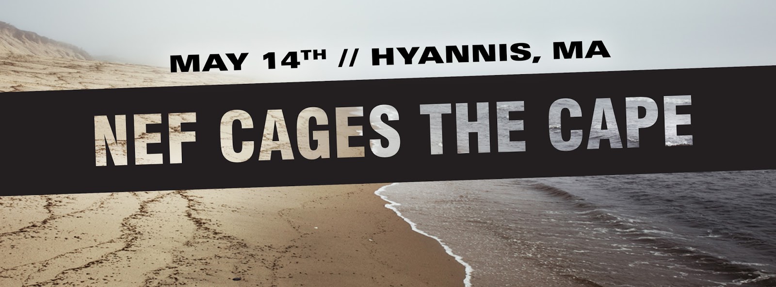 News, Reviews, Videos, Previews CAPE COD GETS ITS