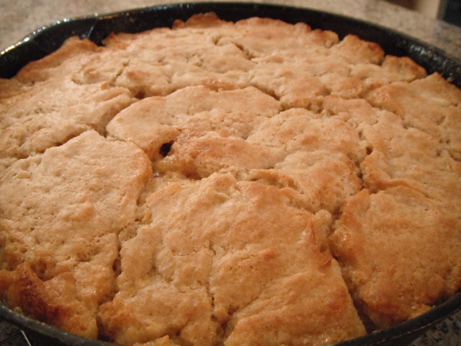 apple cake in a cast iron skillet