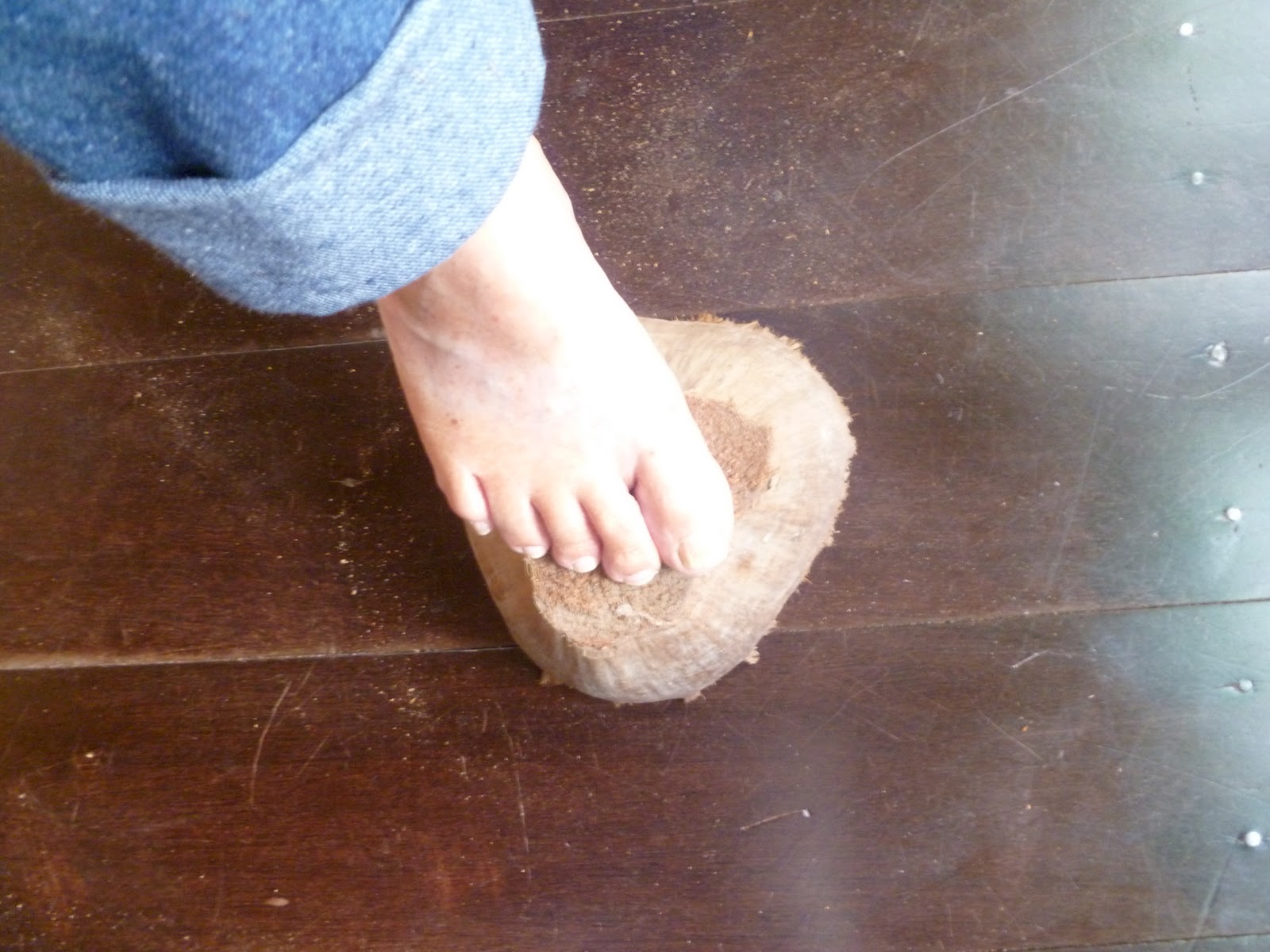 Tom and Mona Country Living