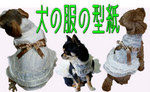 http://dogdressnideru.blogspot.jp/