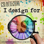 I founded and design for CSI