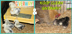 chick brooder ecoglow koop clean bedding brinsea clever chicks hop featuring ginormous bag chicken giveaway enter win