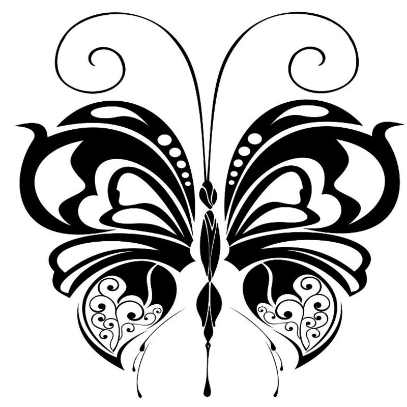 Бабочки чб картинки