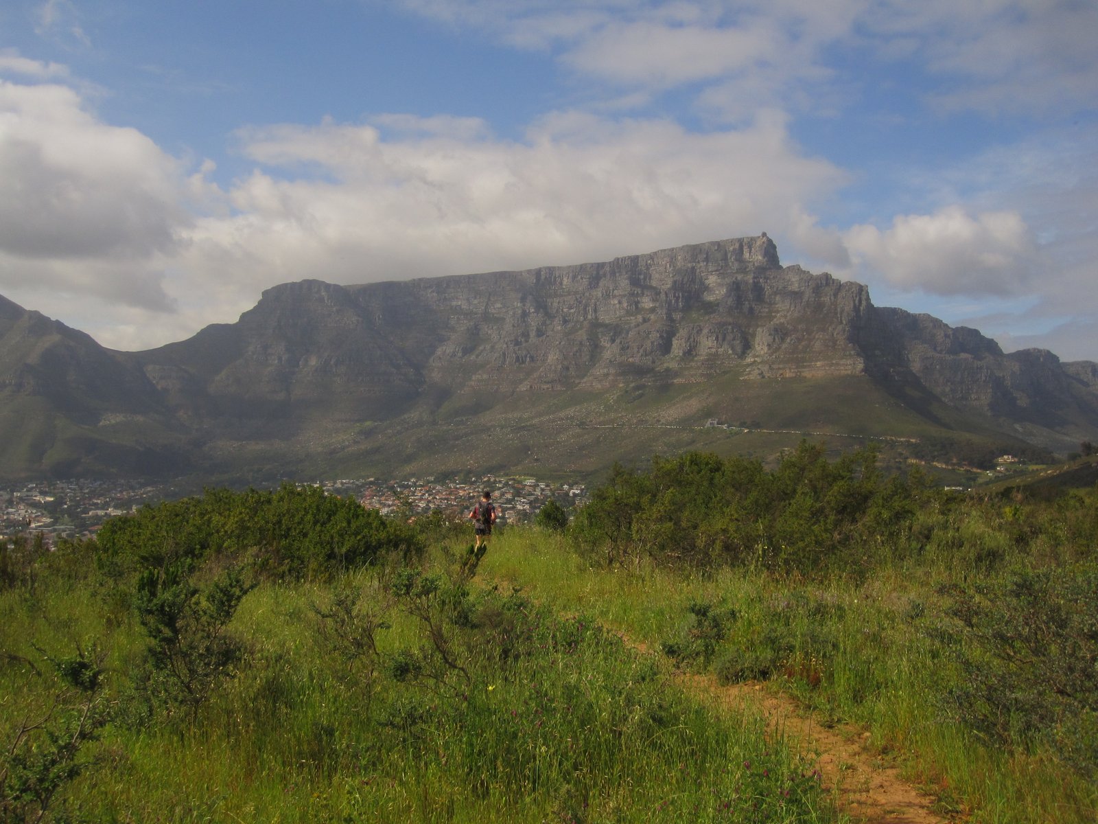 Lion's Head to Signal Hill Trail Run