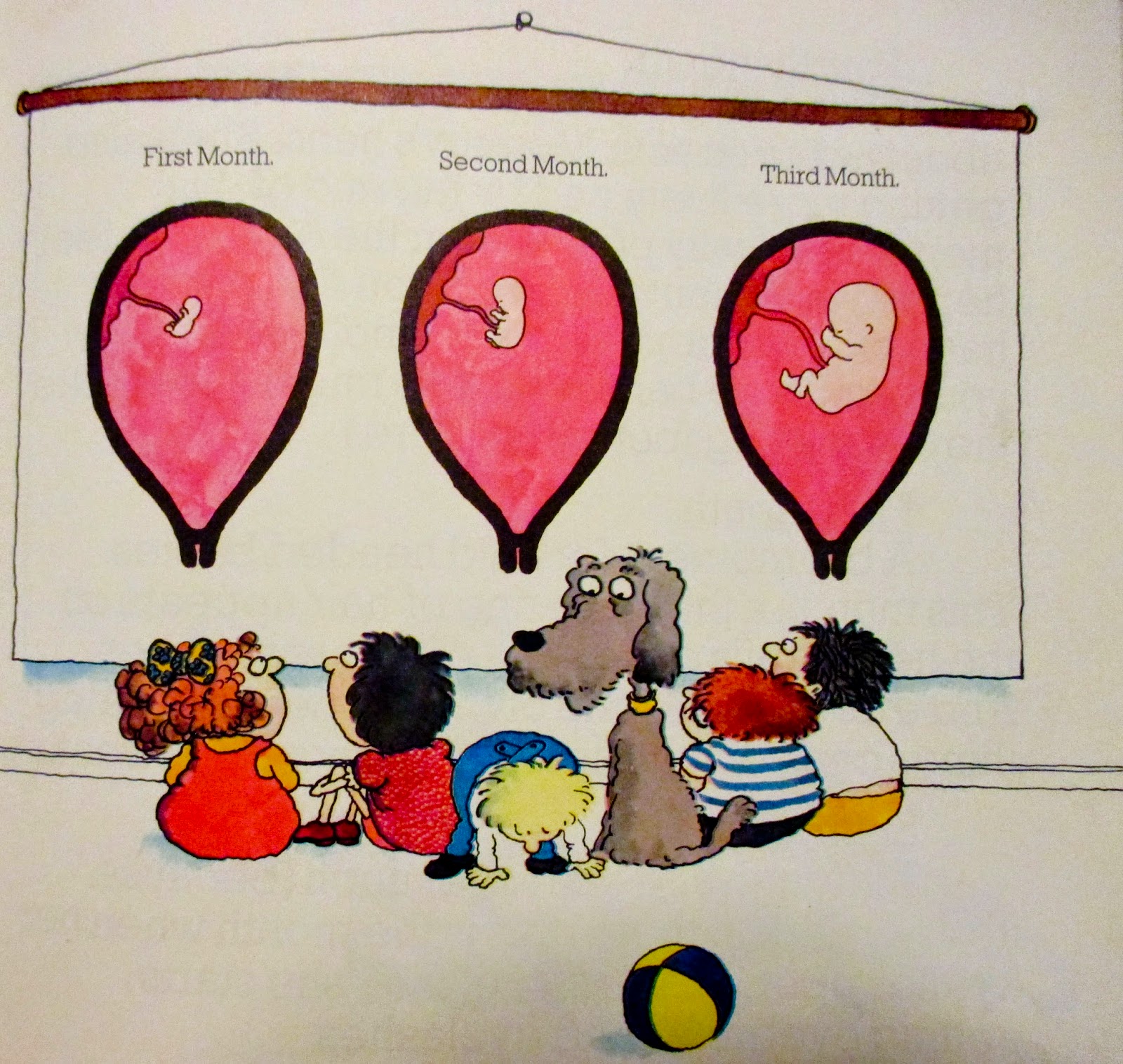 Where did i come from книга. Where did i come from. Where did i come. питер мейл where did i come from. Where did i come.