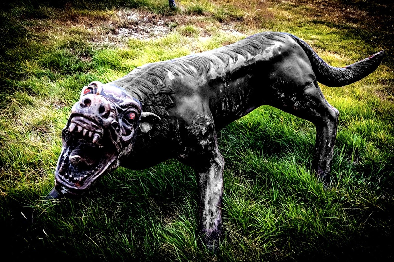 Creature Feature: Black Dogs Of Hell