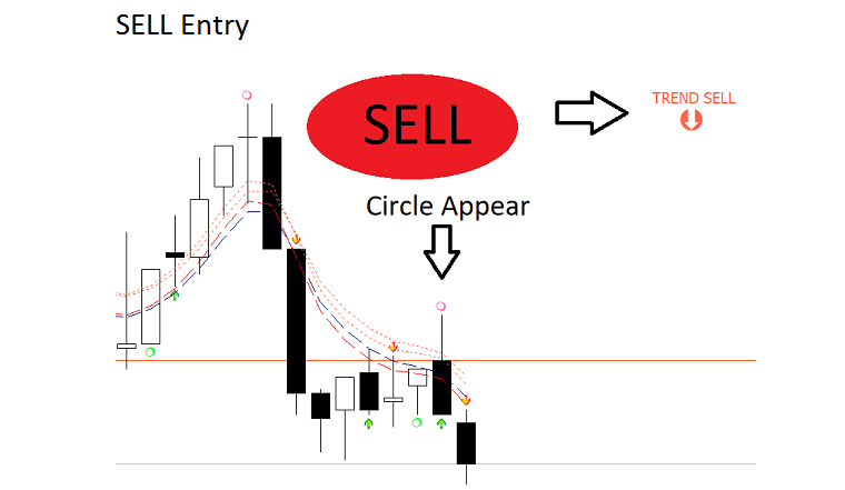 Trading binary options for income